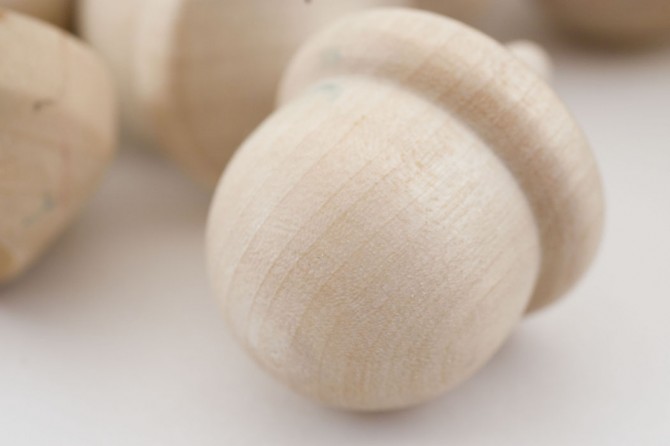 wooden acorns with macro