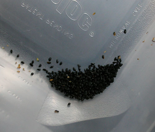 seeds.tupperware.jpg