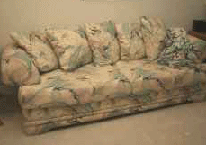 typical craigslist couch